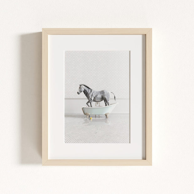 Zebra in Blue Bathtub