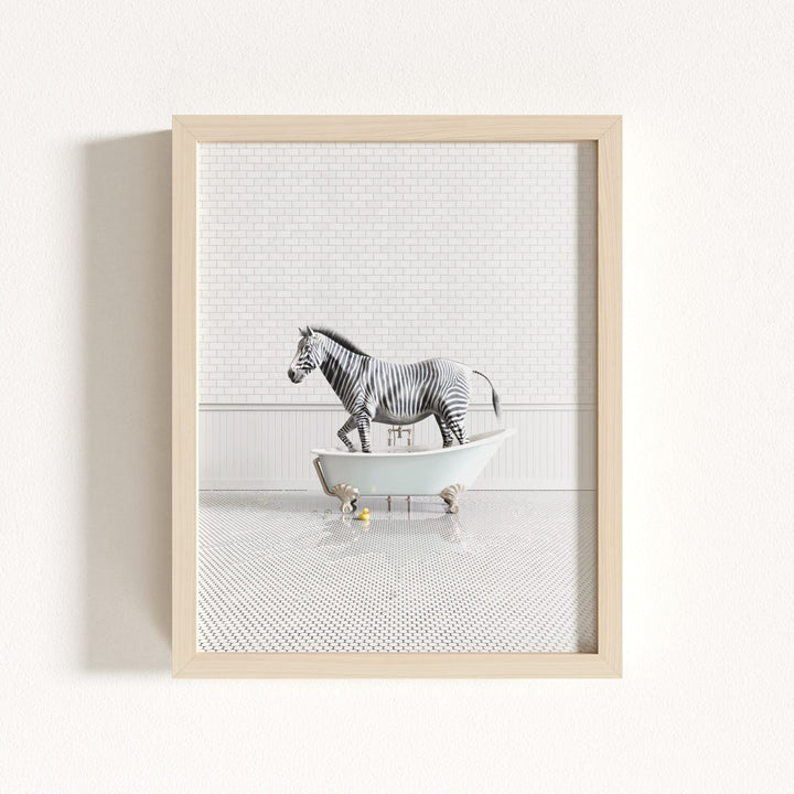 Zebra in Blue Bathtub