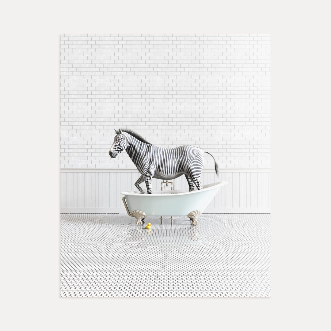 Zebra in Blue Bathtub