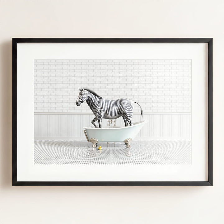 Zebra in Blue Bathtub