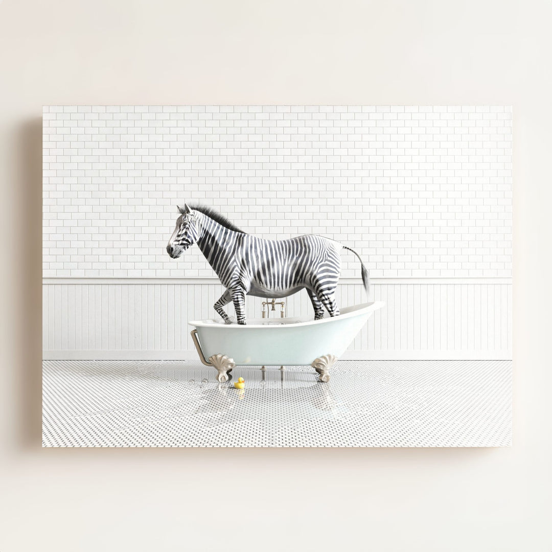 Zebra in Blue Bathtub