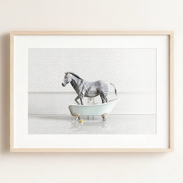 Zebra in Blue Bathtub
