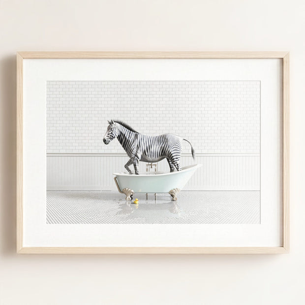 Zebra in Blue Bathtub