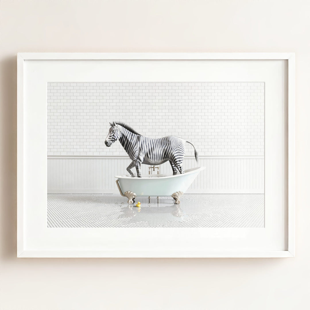 Zebra in Blue Bathtub