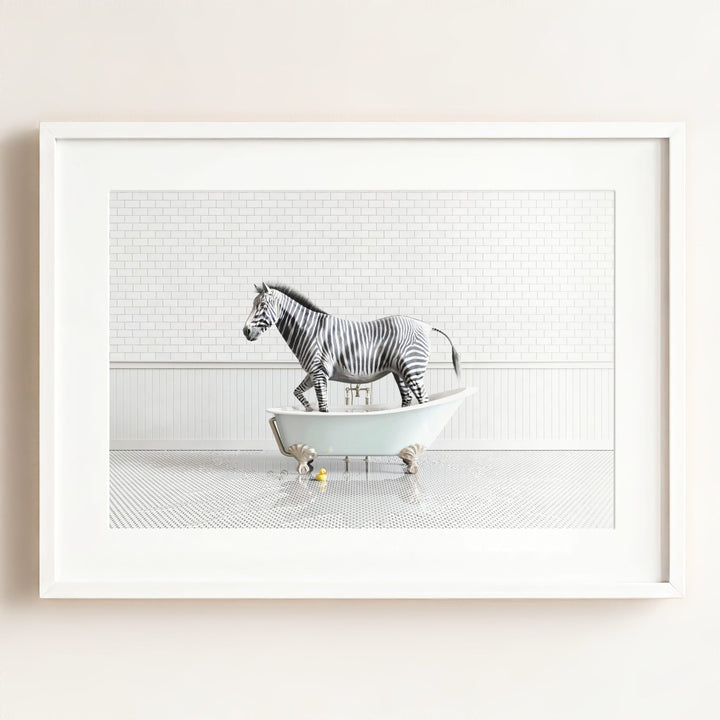 Zebra in Blue Bathtub