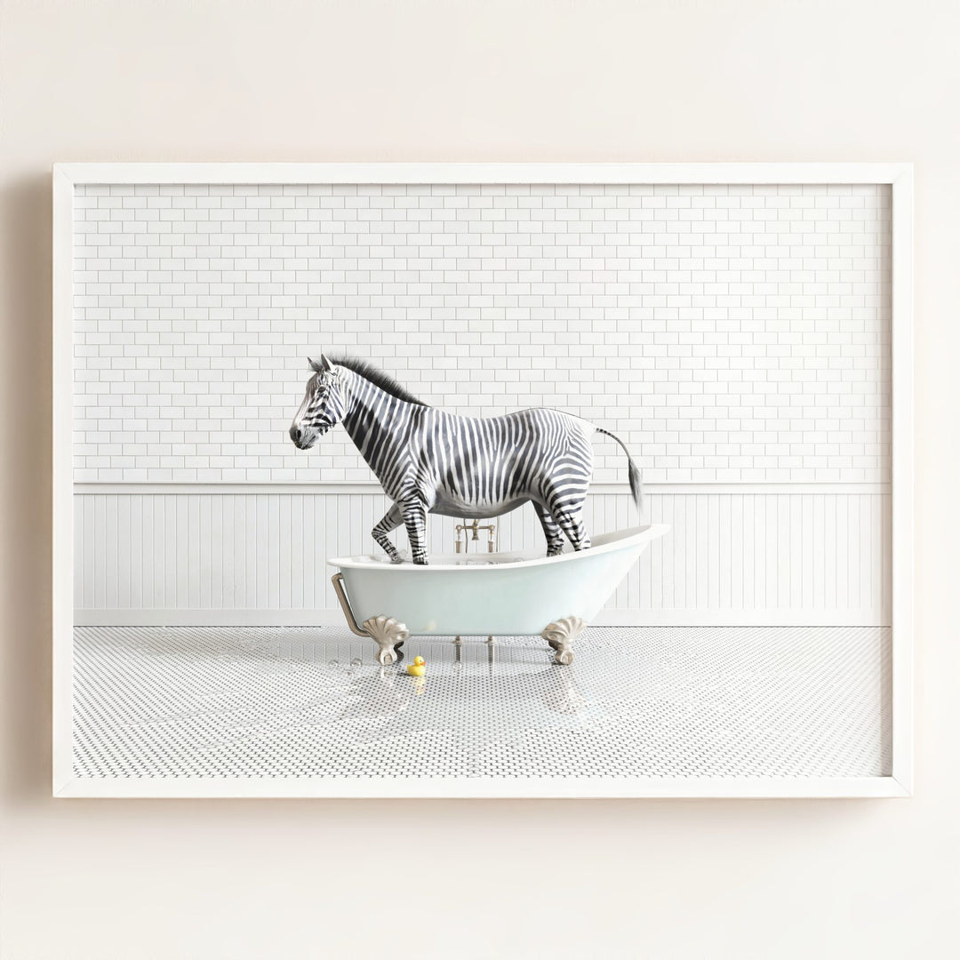 Zebra in Blue Bathtub