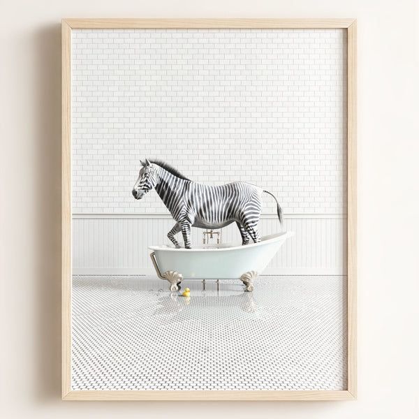 Zebra in Blue Bathtub – Framed