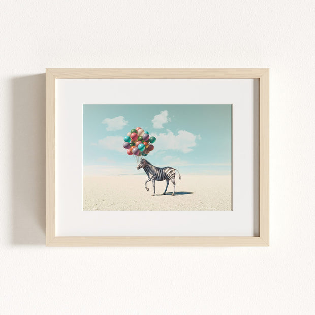Zebra with Balloons Art Print