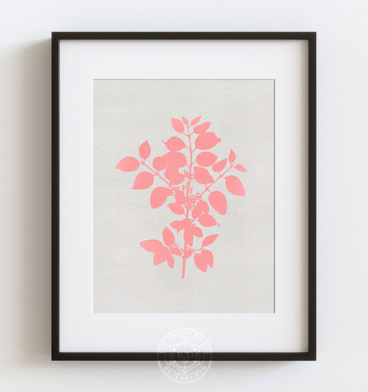Botanical Silhouette No. 1 - Pink