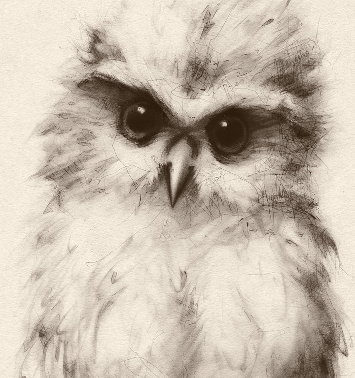 a black and white photo of an owl