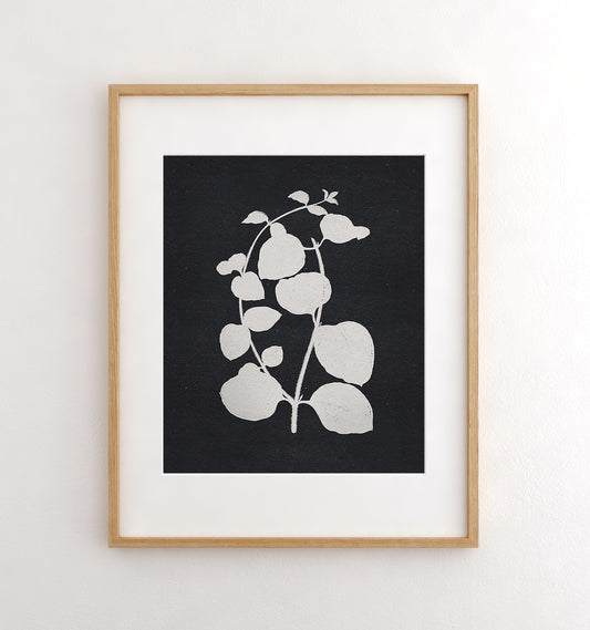 Botanical Silhouette No. 2