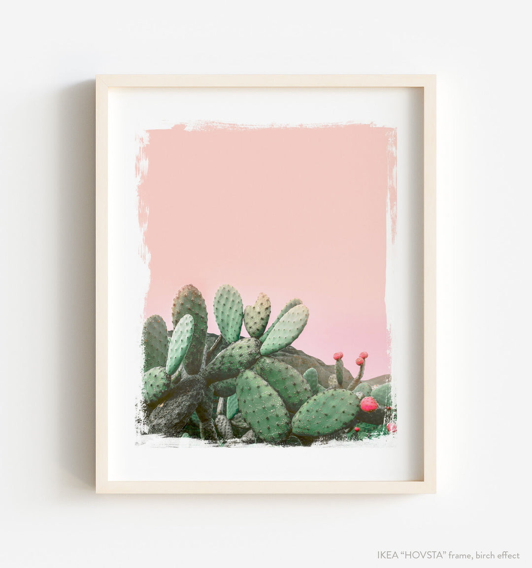 Cactus No. 23