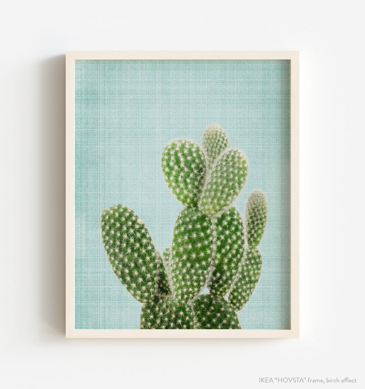 Cactus No. 2
