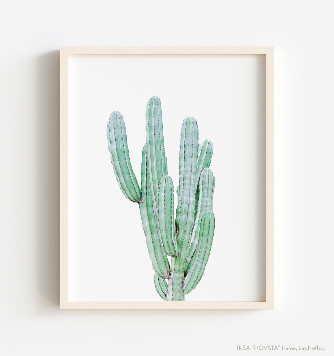Cactus No. 10