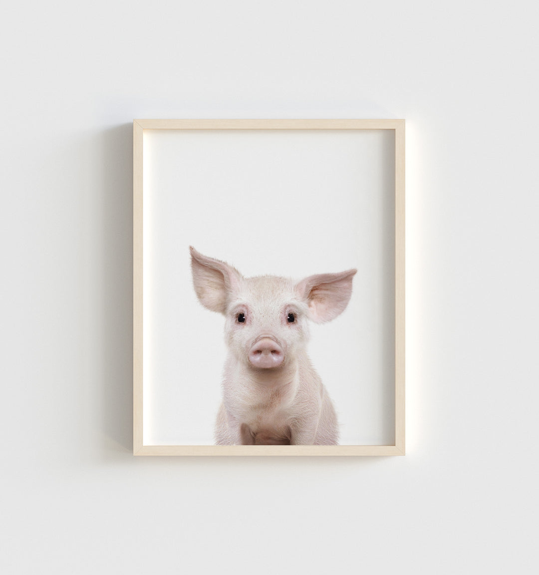 Baby Pig No. 2