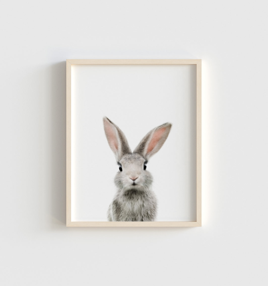 Small Rabbit Print Bunny Rabbit Pictures To Print