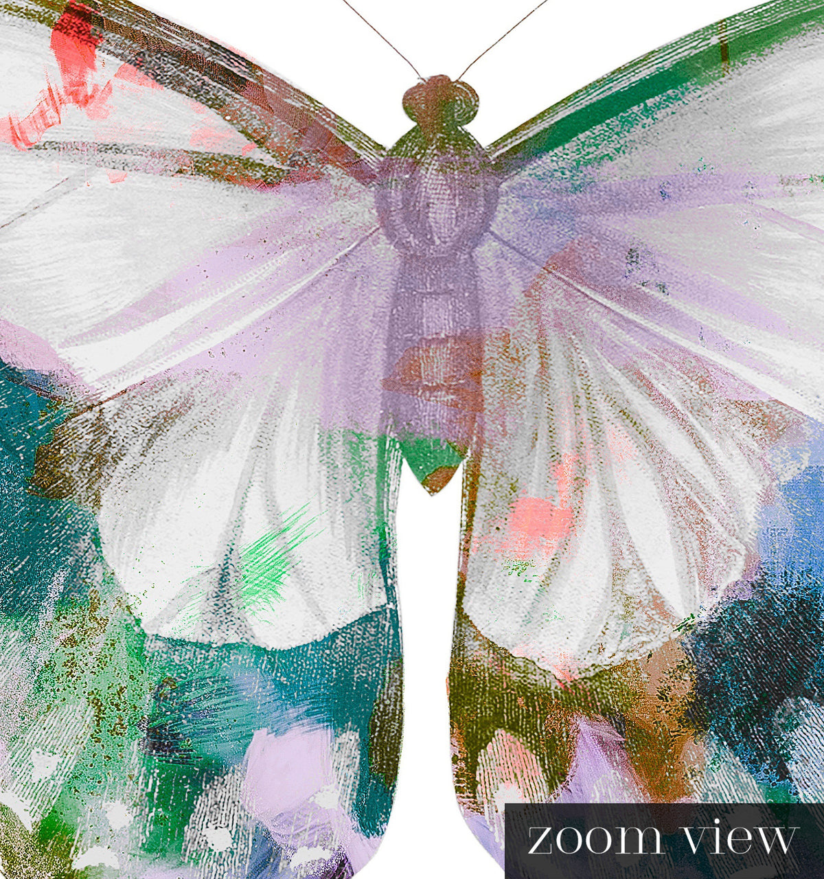 Butterfly No 3