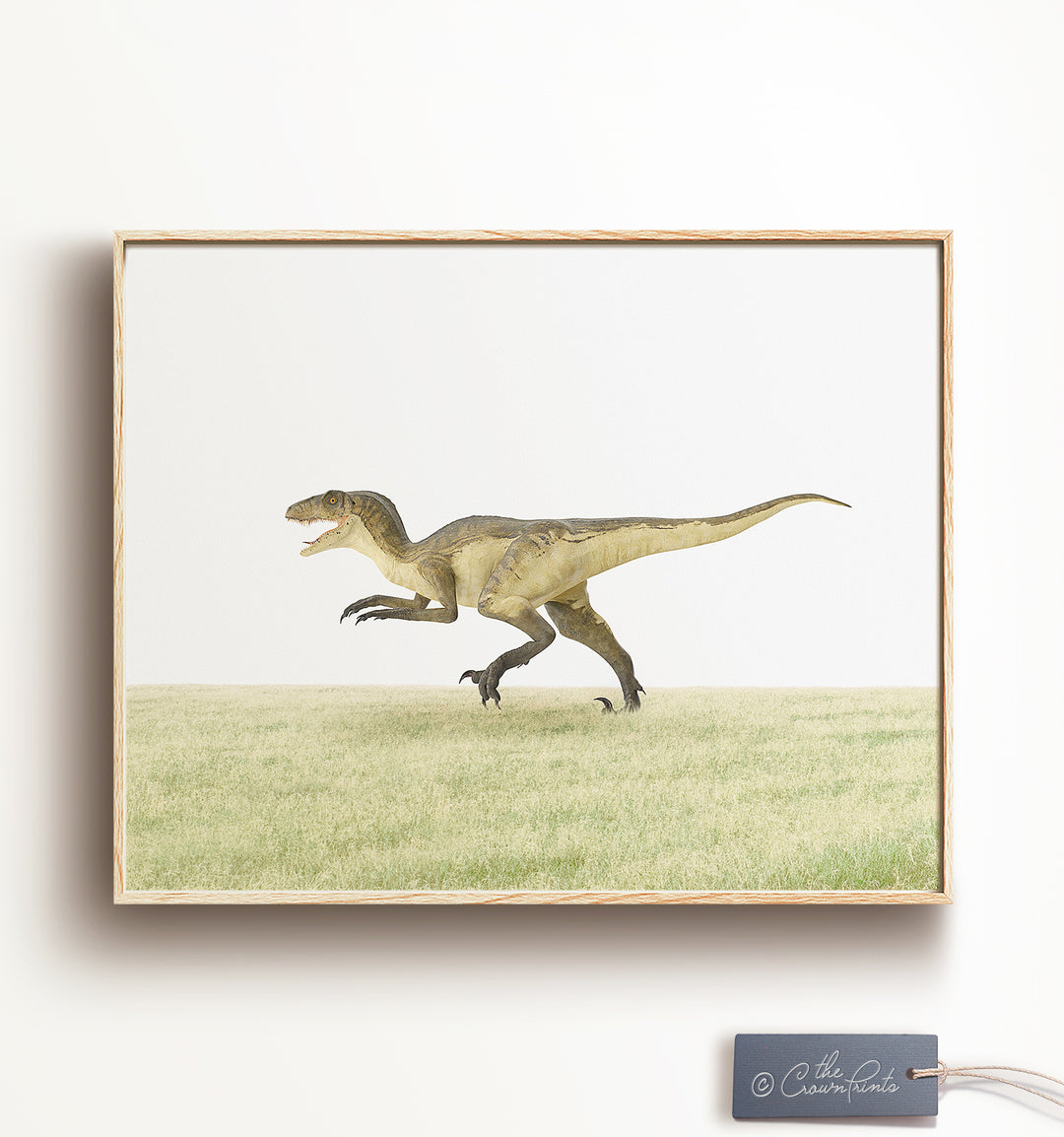Dinosaurs - Set of 4 Boy Room Decor Prints