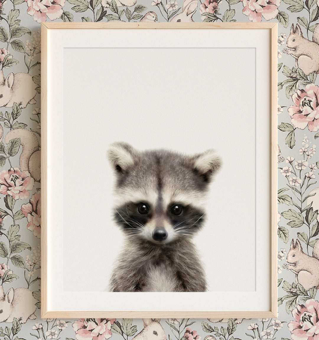 Portrait of a baby raccoon - original nursery animal artwork from The Crown Prints
