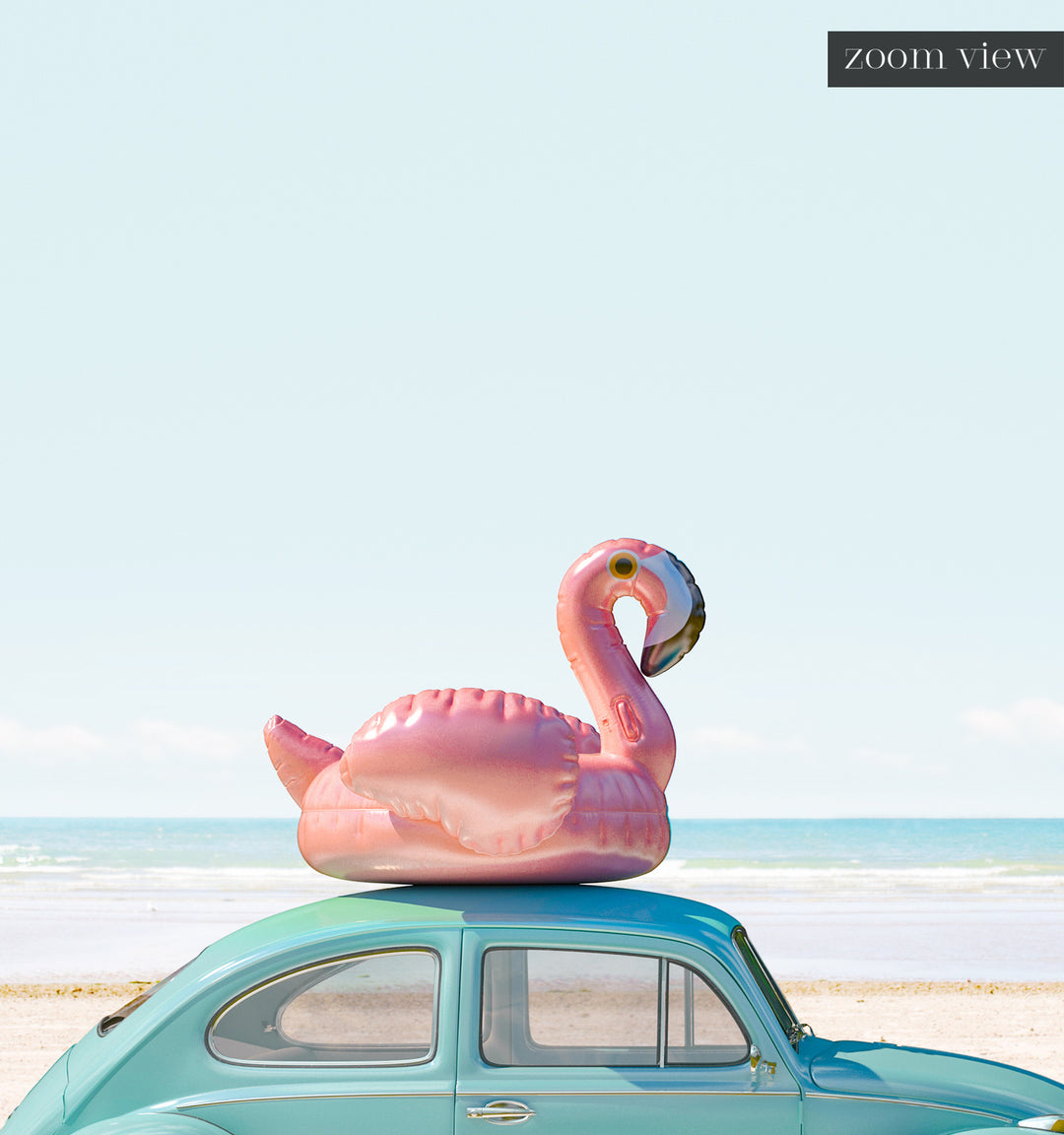 A Beetle and a Flamingo at the Beach