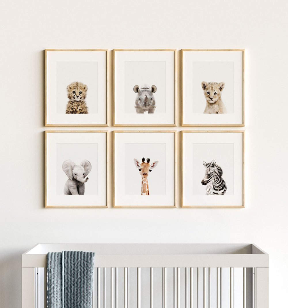 Baby Animal Prints for a Safari Nursery Theme - Cheetah Rhino Lion Elephant Giraffe and Zebra prints above a crib from The Crown Prints