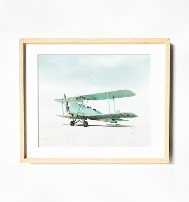 De Havilland Tiger Moth Airplane