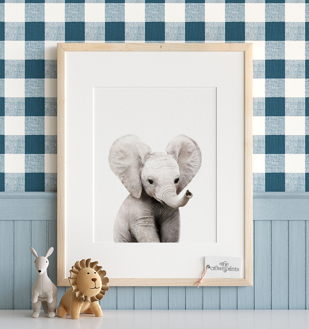 Baby elephant poster with white background in a nursery room