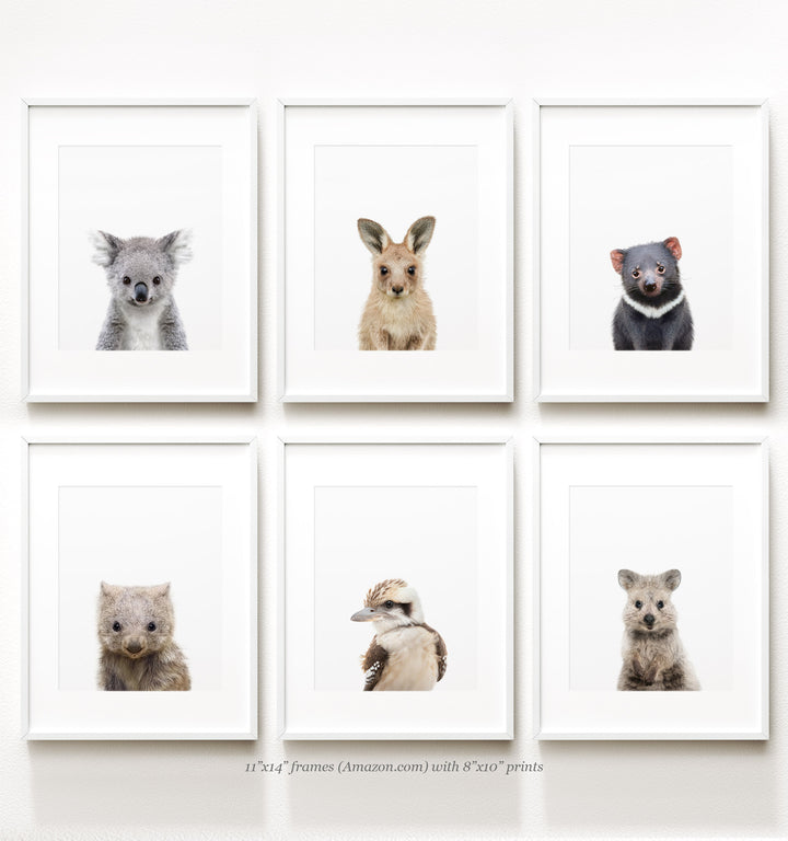 Australian Animals Art - Printable and Prints by The Crown Prints - Koala, Kangaroo, Tasmanian Devil, Wombat, Kookaburra, Quokka - Aussie Nursery Theme