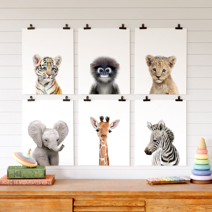 Safari Animal Prints - Set of 6 baby animals - Africa and Asia - The Crown Prints