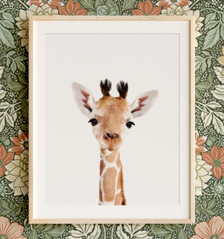 Portrait of a baby giraffe - original nursery animal artwork from The Crown Prints