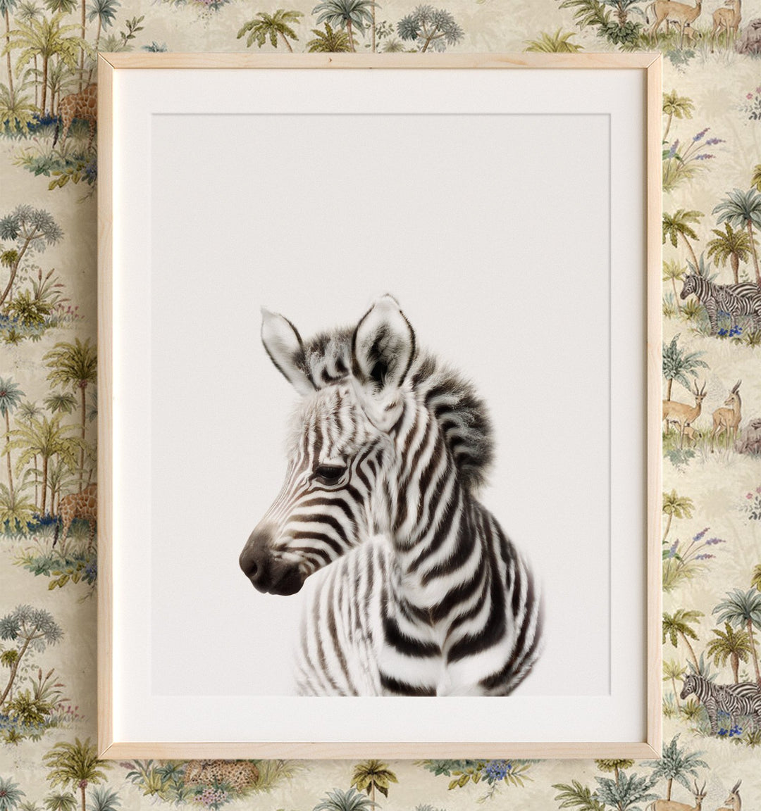 Portrait of a baby zebra - original nursery animal artwork from The Crown Prints