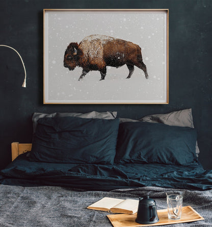 Buffalo in Snow