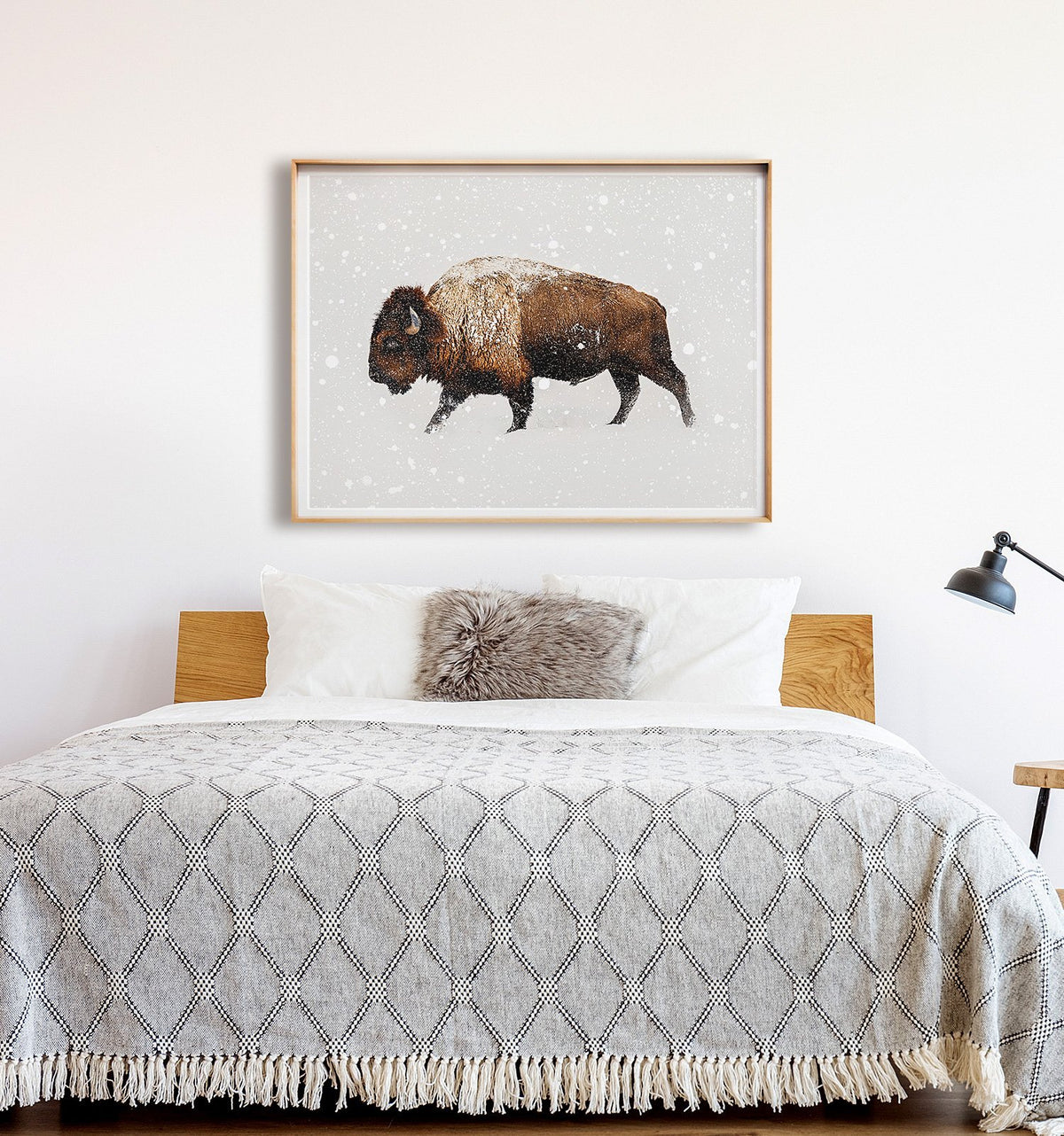 Buffalo in Snow