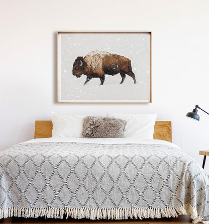 Buffalo in Snow
