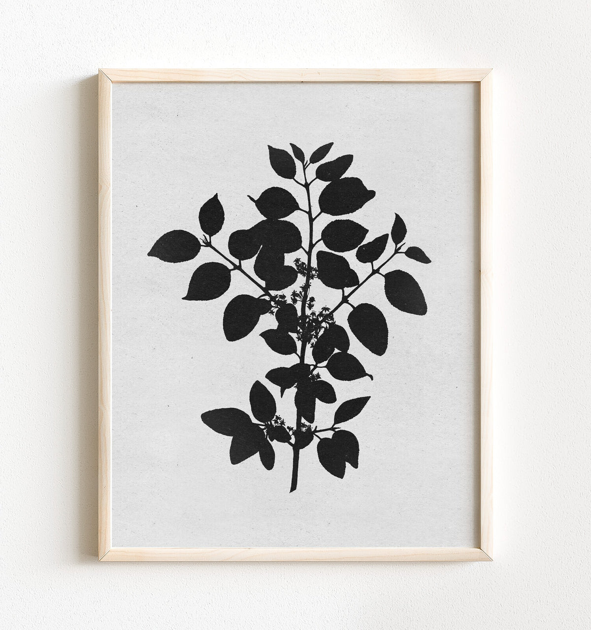 Botanical Silhouette No. 1 – Framed