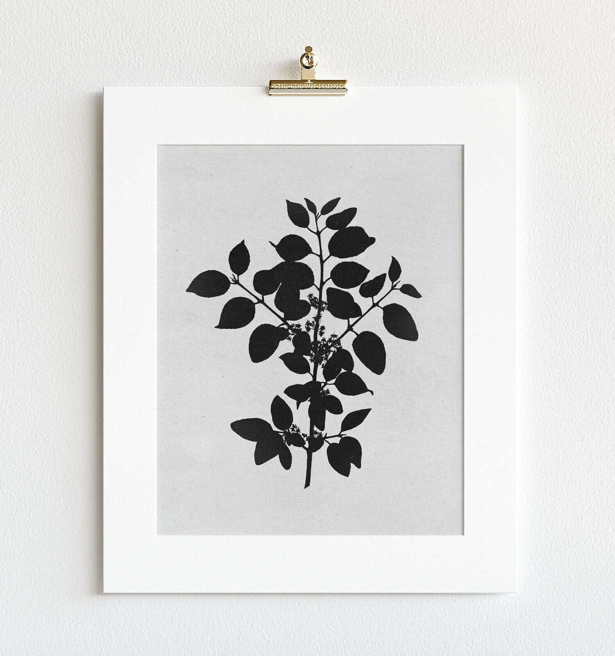 Botanical Silhouette No. 1 – Framed