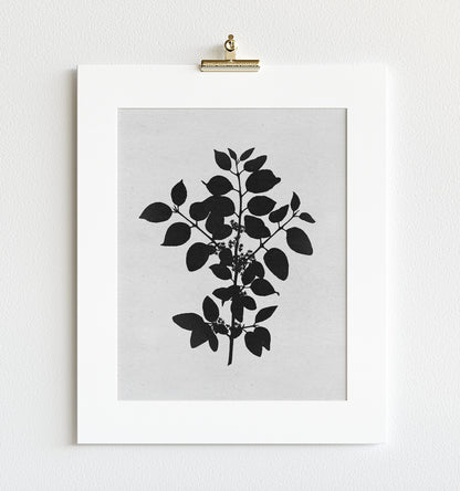 Botanical Silhouette No. 1 – Framed