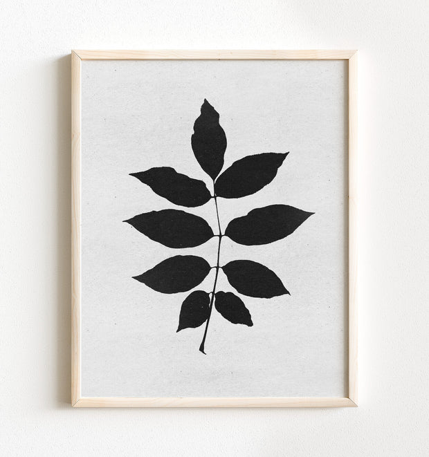 Botanical Silhouette No. 3