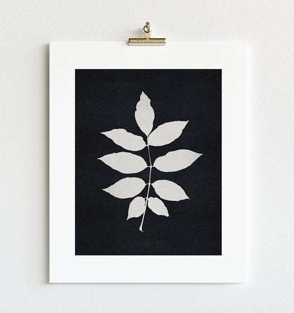 Botanical Silhouette No. 3