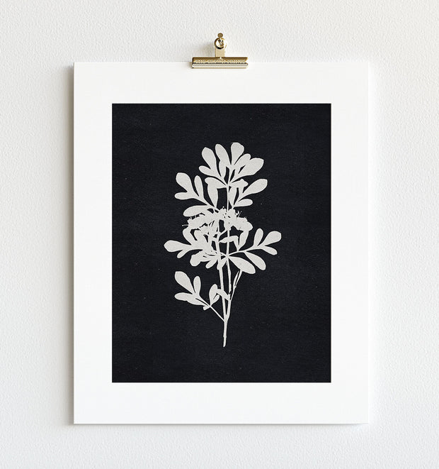 Botanical Silhouette No. 4