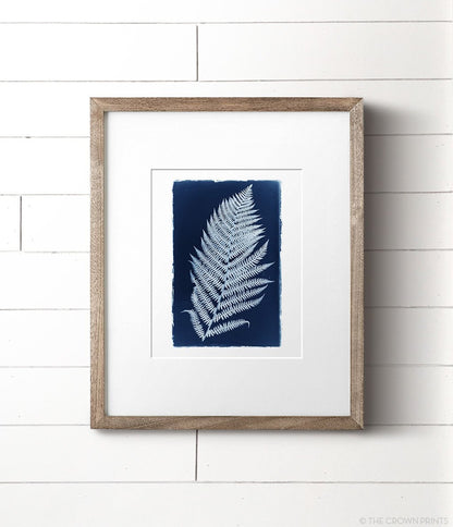Botanical Cyanotype Print No. 3 - The Crown Prints