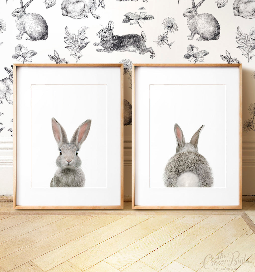 Baby Rabbits - Heads and Tails - Set of 2