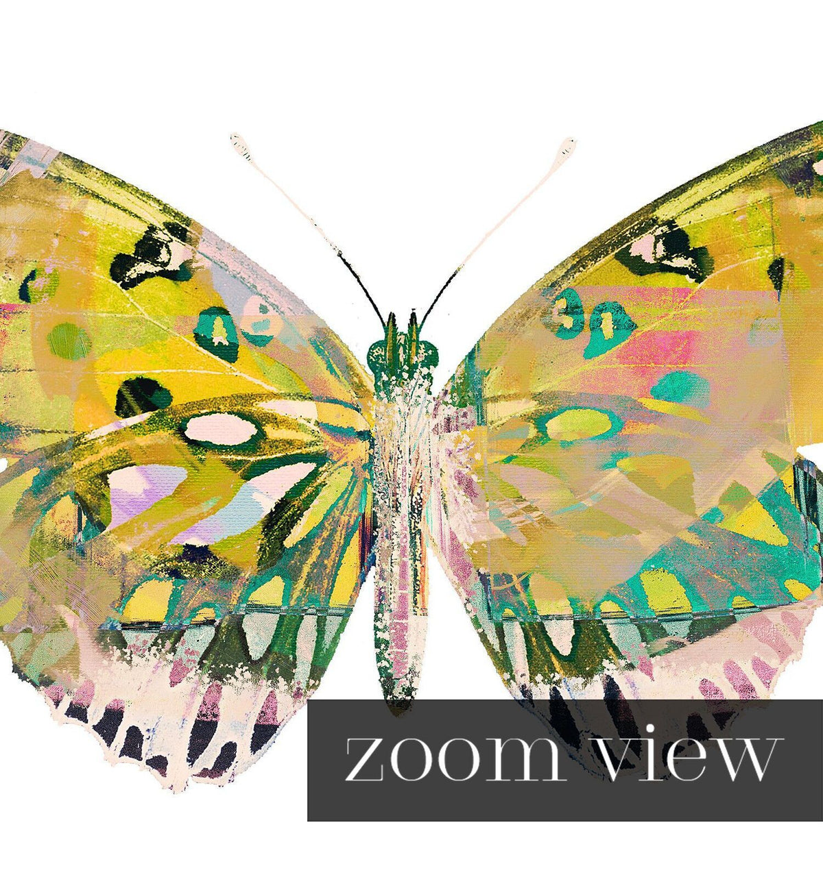 Butterfly Art Print No. 4