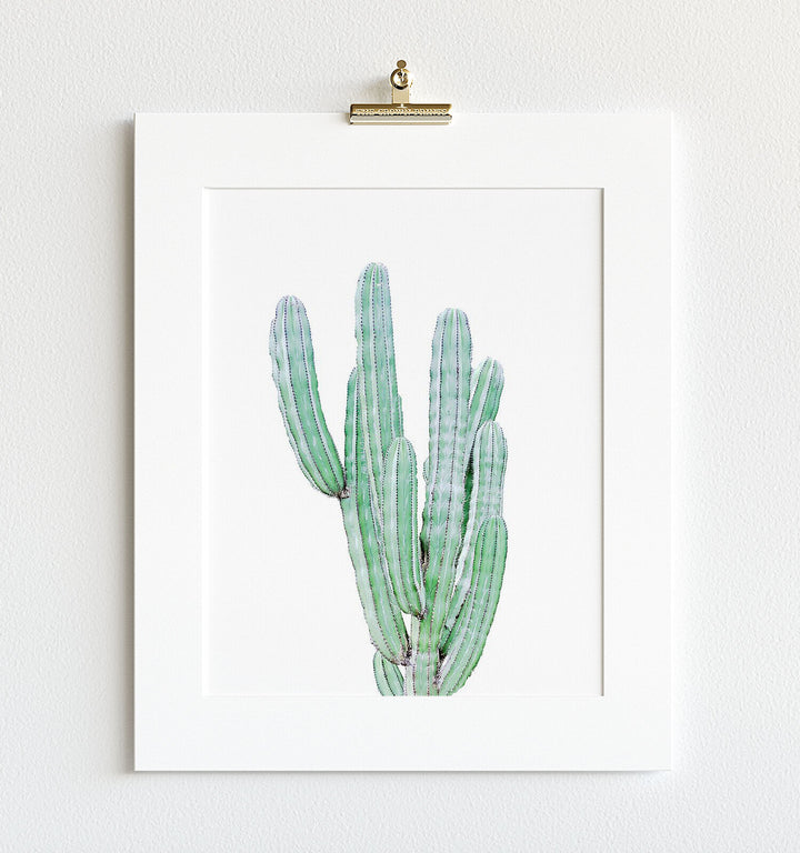 Cactus No. 10