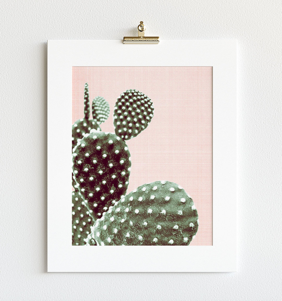 Cactus No. 14
