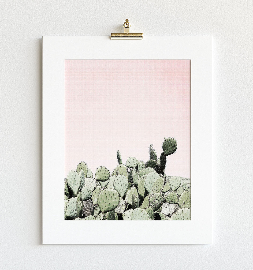 Cactus No. 6