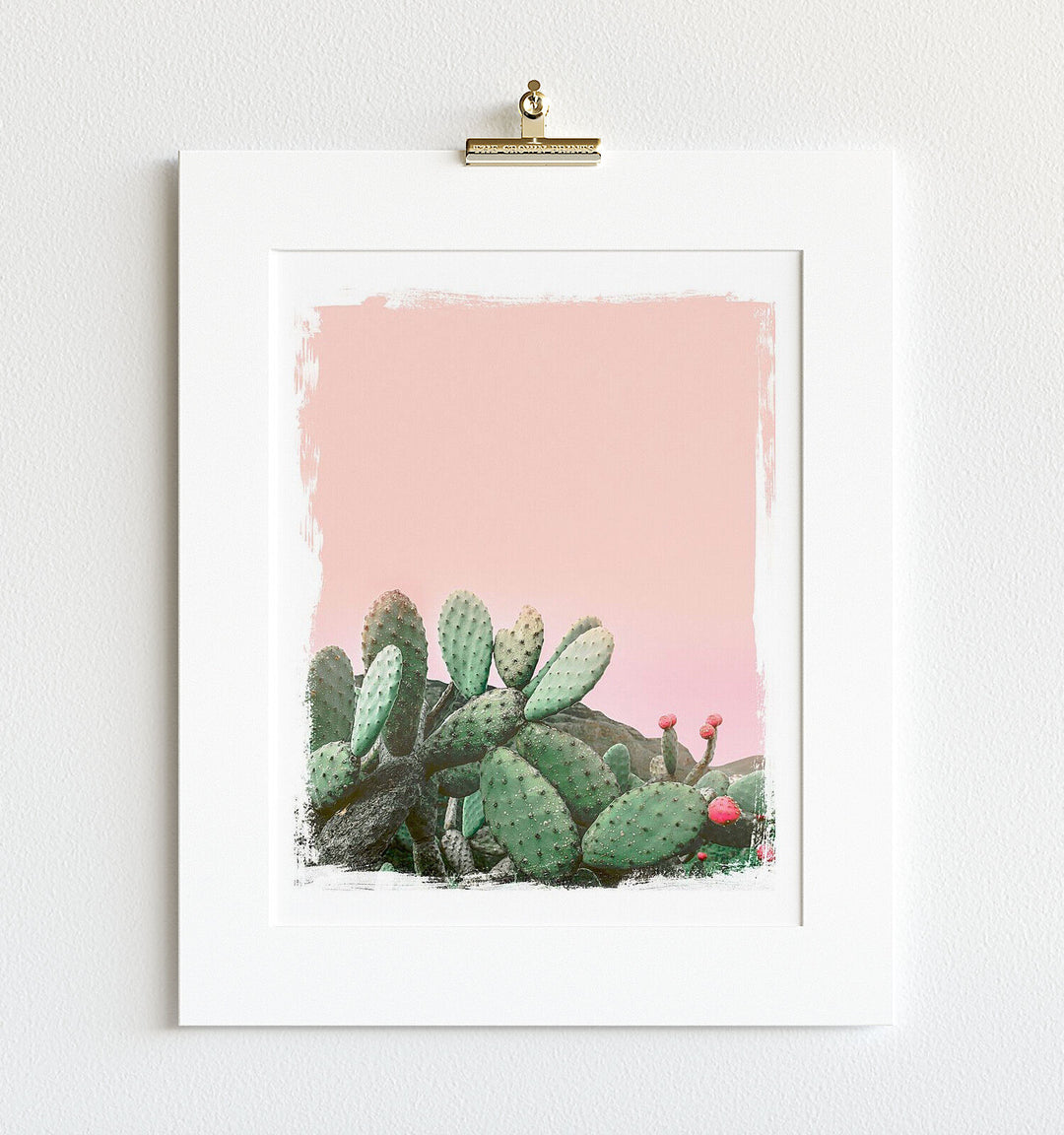 Cactus No. 23