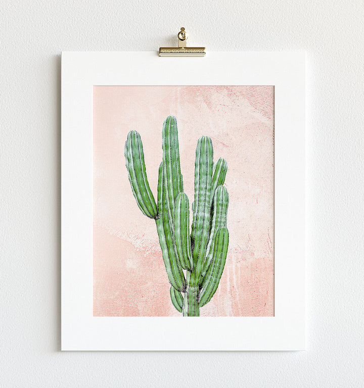 Cactus on pink textured background