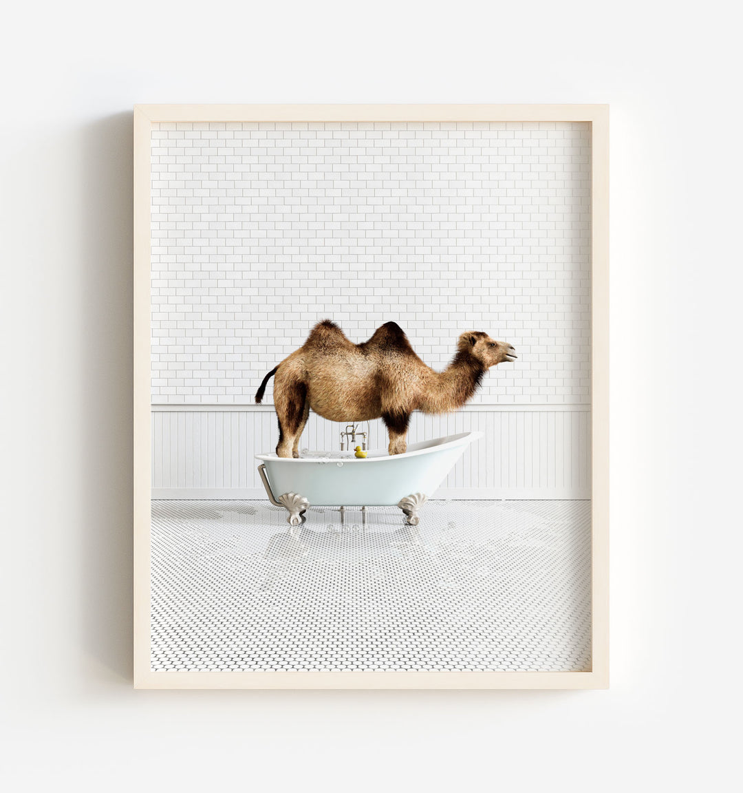 Camel in Blue Bathtub