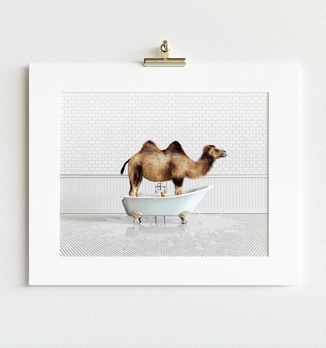 Camel in Blue Bathtub